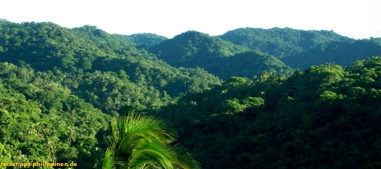 Wlder und Berge stlich von Pandan, Catanduanes