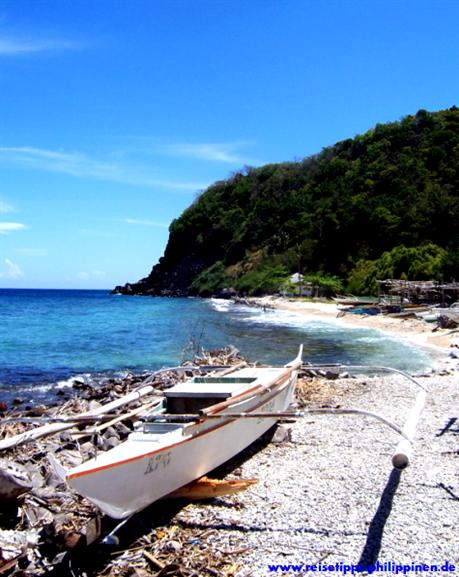 apo Island, fish sanctuary