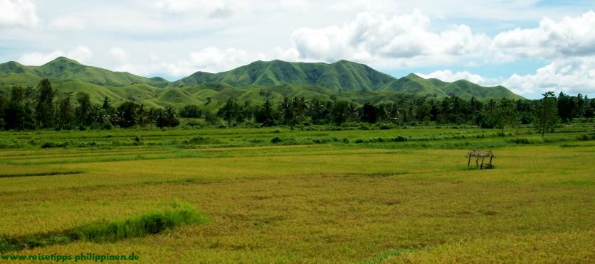 Bergrcken bei Ubay, Bohol