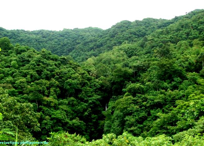 Cagmasoso, Catanduanes